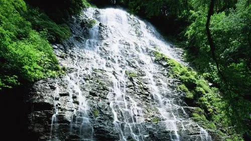 独特节能环保